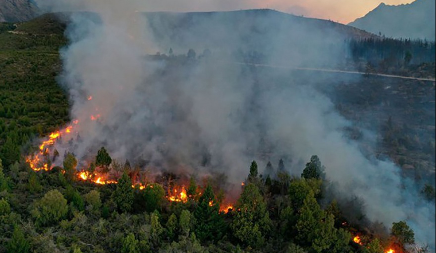 Pesatti sobre los incendios en El Bolsón: "los culpables deben pagar con carcel"