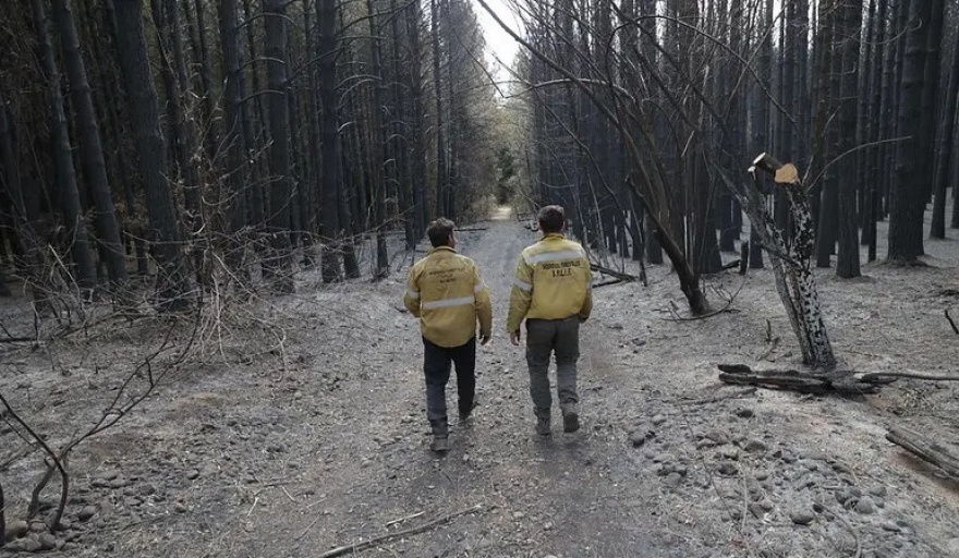 Un respiro para la Patagonia: el incendio en El Bolsón está completamente extinguido