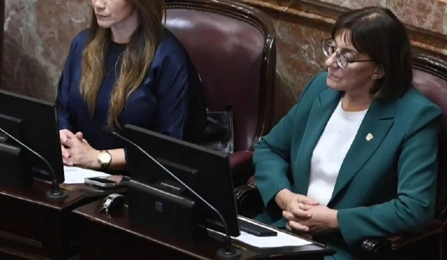 La senadora Mónica Silva ratificó el voto positivo al proyecto de "Ficha Limpia" y criticó la política económica y social del gobierno nacional