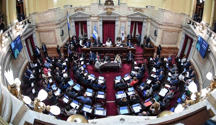 El Senado rechazó la Ley de Ficha Limpia por un voto