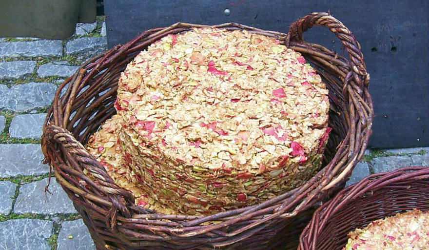 Científicos rionegrinos buscan transformar el orujo de manzana en alimento saludable y sustentable