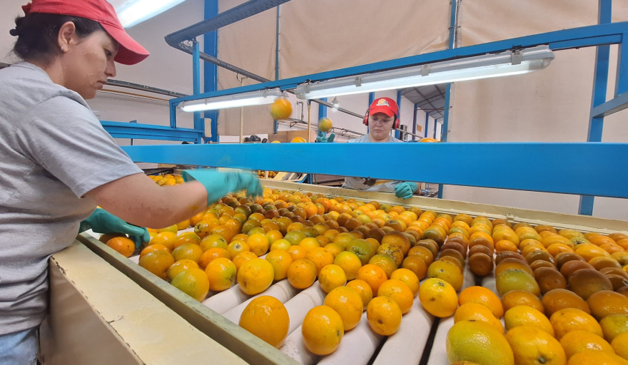 Las economías regionales en emergencia: productores denuncian abandono y concentración