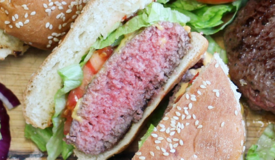 Día del Síndrome Urémico Hemolítico: Río Negro y Neuquén tienen una alta tasa de afectación