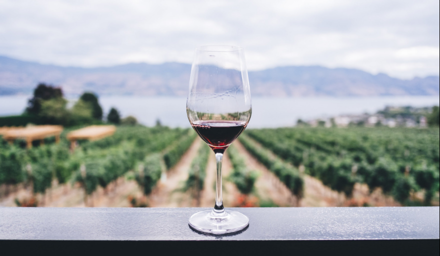 Bodegas rionegrinas dirán presente en Hotelga, la feria nacional de hotelería y gastronomía