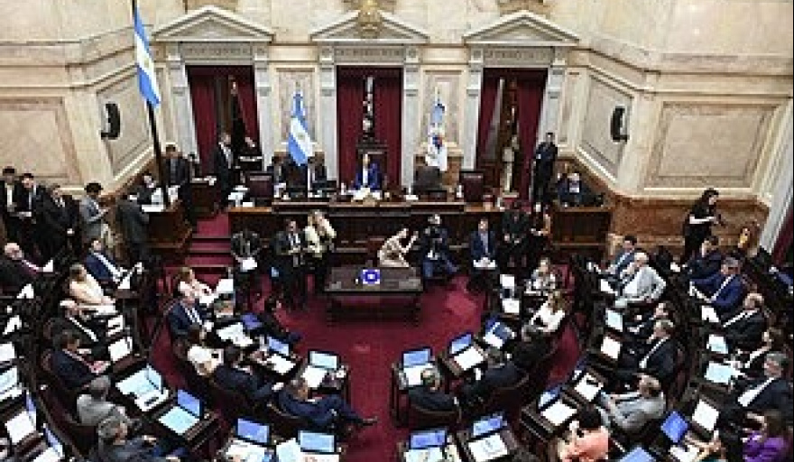Senado buscará revertir el veto presidencial a la discapacidad y limitar los DNU