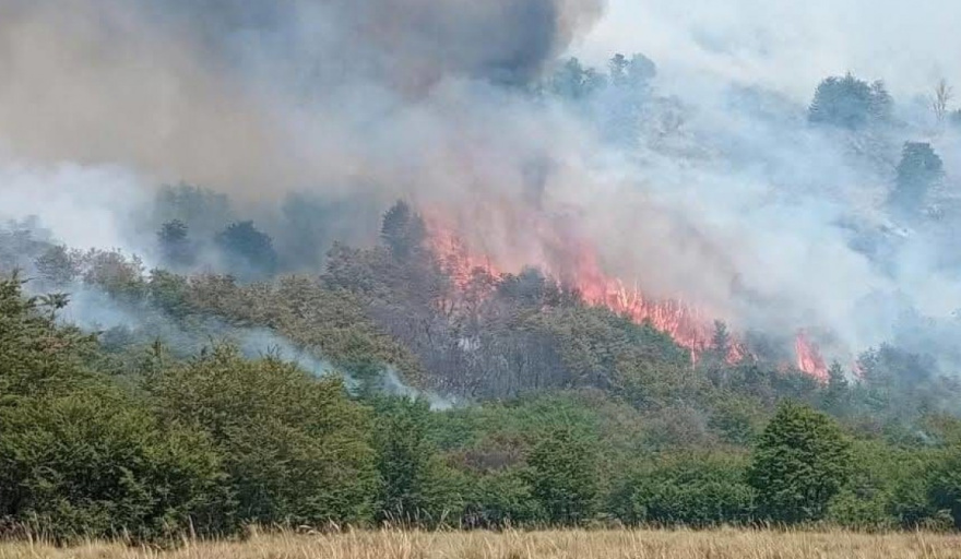 Neuquén enfrenta seis incendios forestales y refuerza el operativo en tres focos que siguen fuera de control