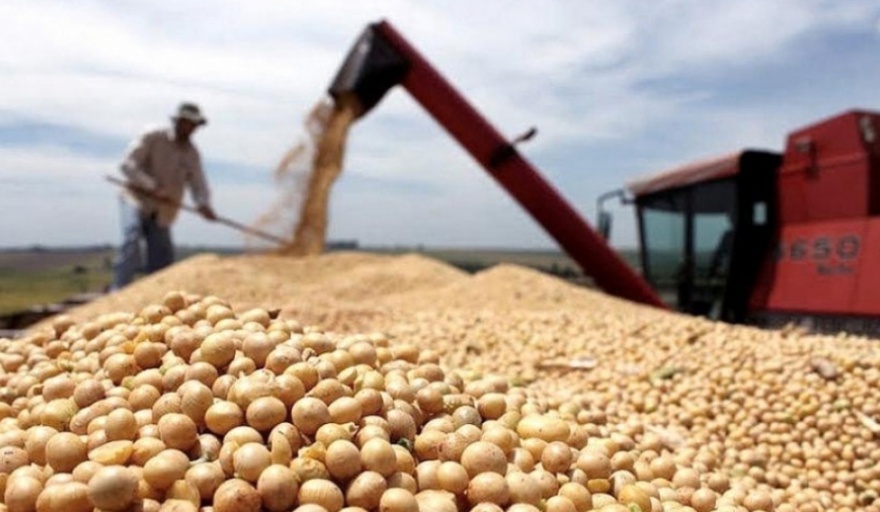 Récord de exportaciones agropecuarias en el semestre: U$S19.145 millones