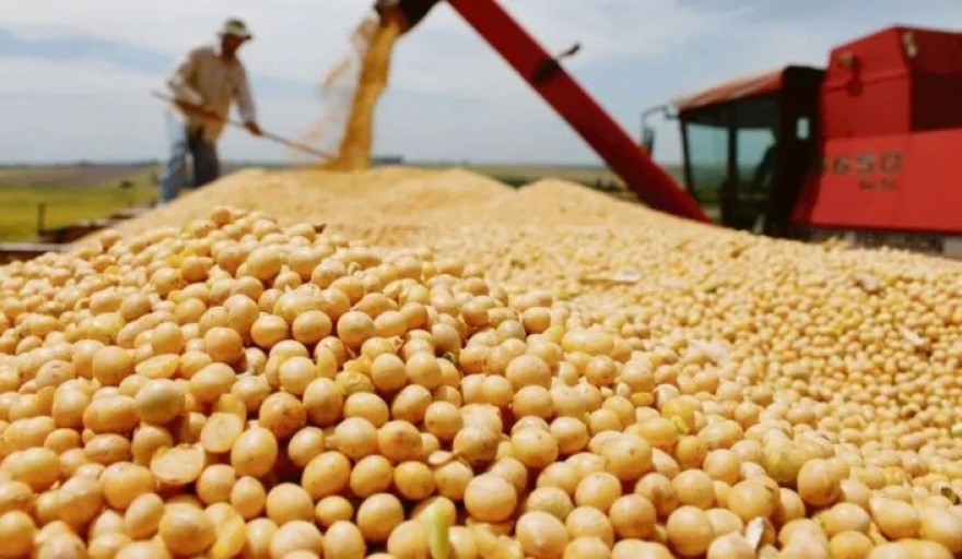 Dólar soja: el BCRA autorizó a los del agro un instrumento financiero para que liquiden la cosecha