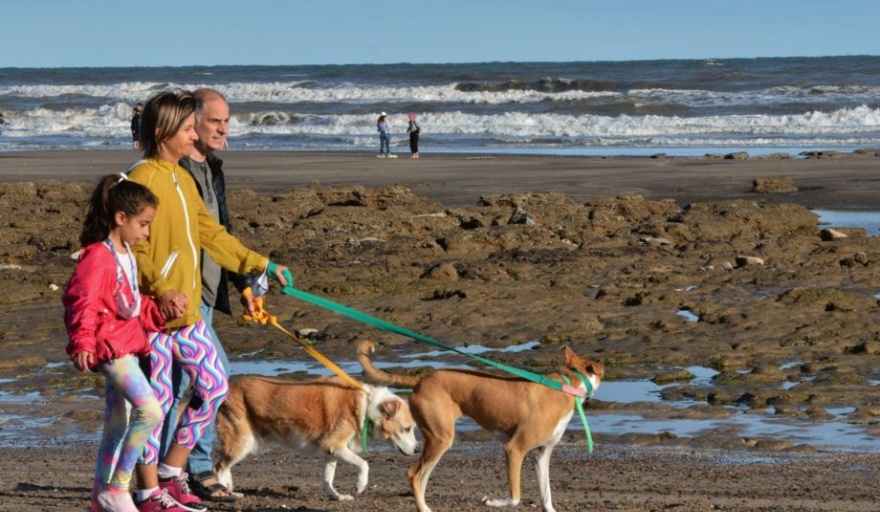 Viedma promueve las "Playas Amigables con las Mascotas"