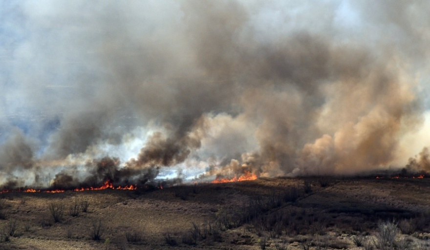 Científicos afirman que el impacto de los constantes incendios en el Delta podrían llevar 300 años para restaurarse