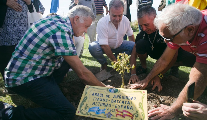Por el Día del Inmigrante plantaron ejemplares del sauce criollo a orillas de los ríos Sella y Negro