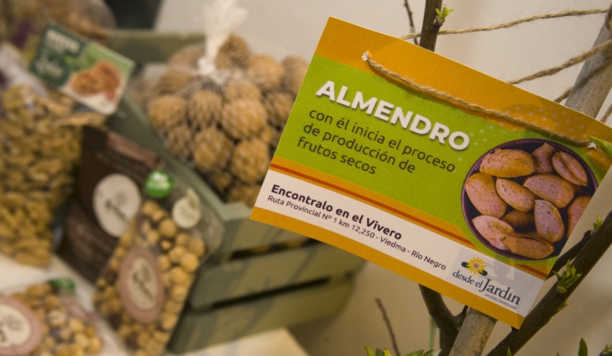 Más de 12 mil personas pasaron por la 8va edición de la Fiesta Provincial de los Frutos Secos