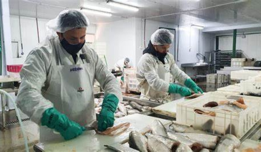 Río Negro es una de las provincias del país donde más creció el empleo registrado