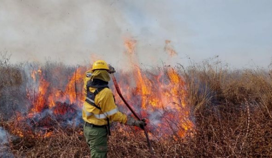 Confirman que los incendios forestales en Tierra del Fuego están "contenidos"