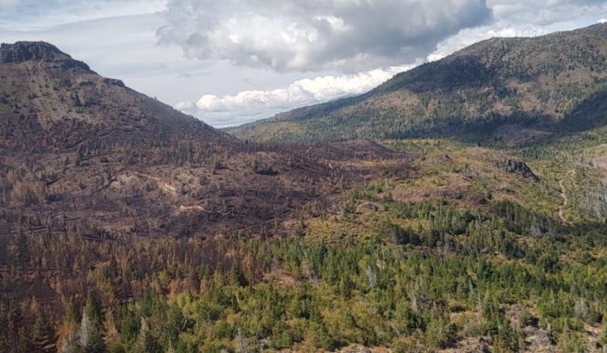Brigadistas controlaron incendio en la zona de Epuyén