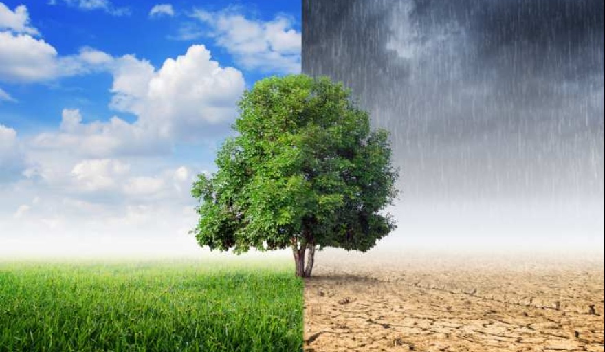 5 de junio, Día mundial del Medio Ambiente