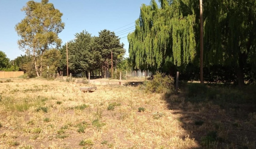 Vecinos de un barrio de Plottier denuncian graves problemas del suministro eléctrico