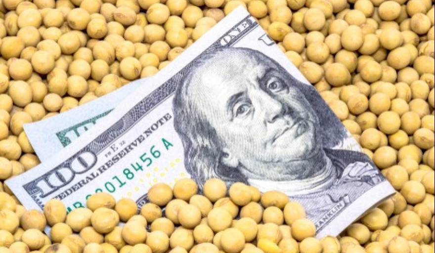 El Gobierno puso en vigencia el Dólar Soja 4