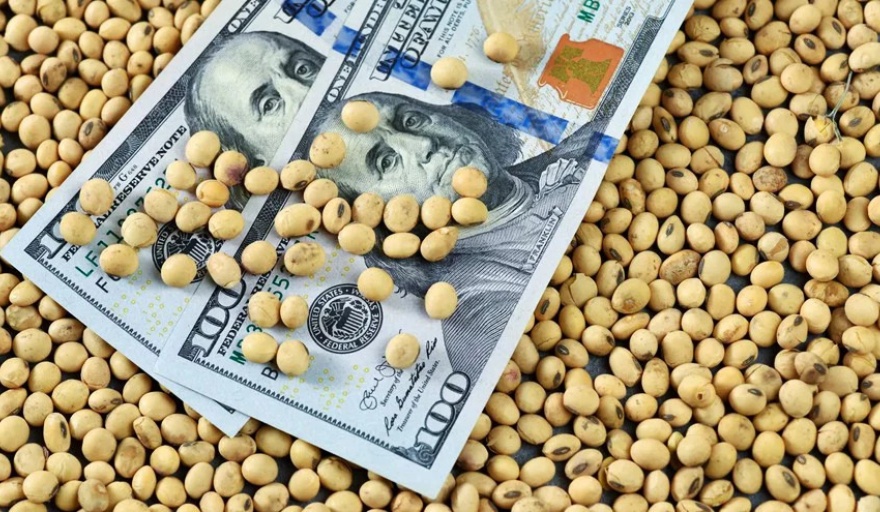 El dólar "soja" 4.0 empieza a generar impacto datos positivo en sus liquidaciones