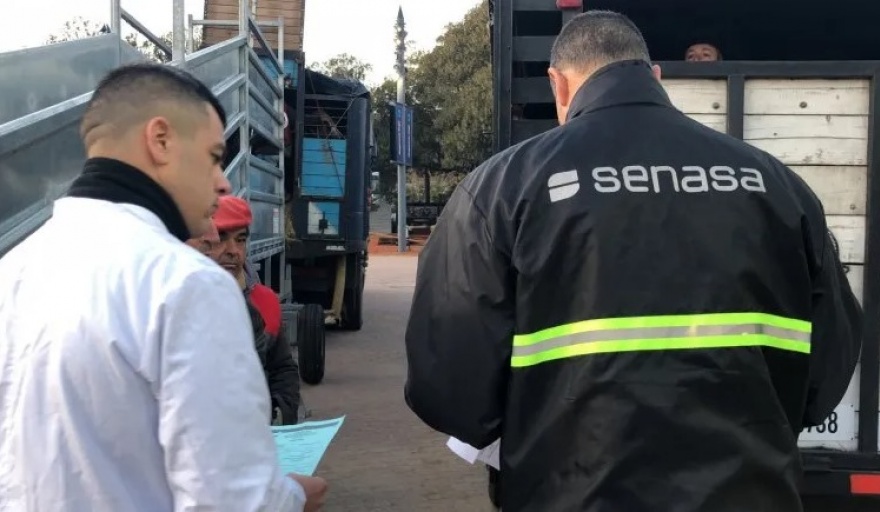 ATE acata conciliación obligatoria en SENASA con condiciones