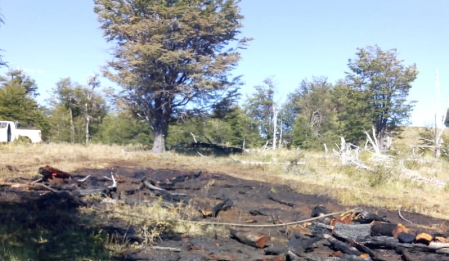 Pudieron extinguir un incendio forestal en Río Pico