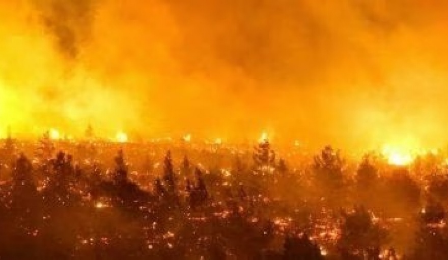 Chile en llamas: 112 muertos y más de 45 mil hectáreas afectadas por los incendios forestales