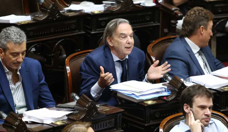 Debate en particular de la Ley Ómnibus: Acuerdos y discrepancias