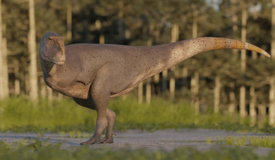 Descubren un nuevo dinosaurio patagónico: Koleken inakayali
