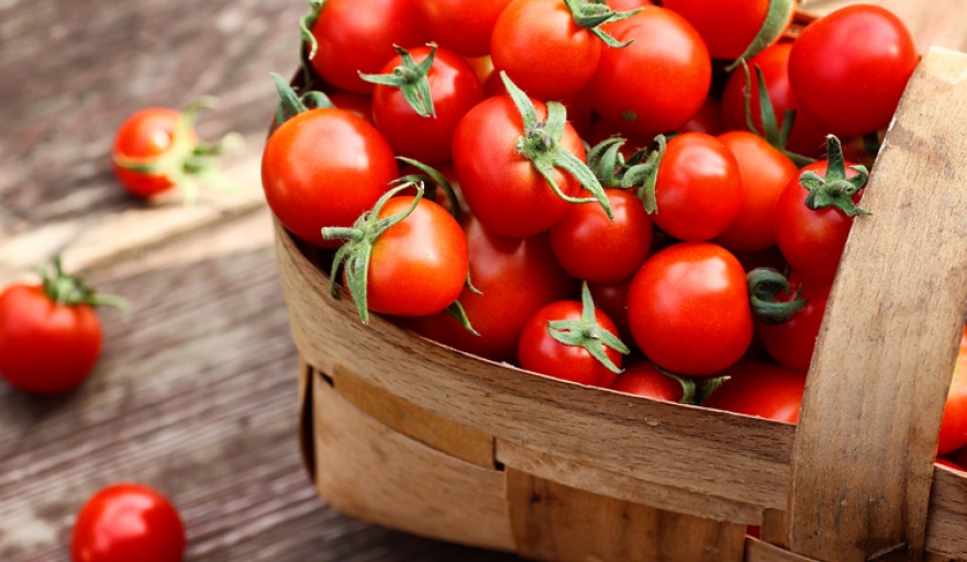 Un informe del CEPA advirtió que el tomate aumentó cerca de un 1000% interanual