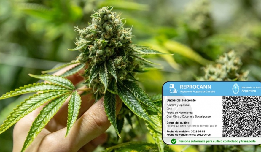 El Gobierno realizó cambios en el REPROCANN