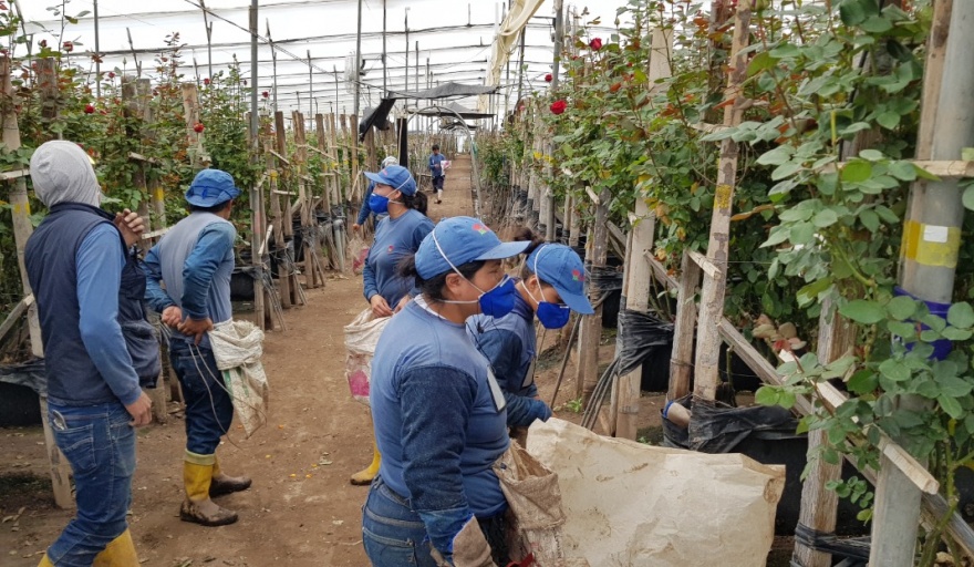 Debido a restricciones energéticas, Ecuador modificó su legislacion laboral