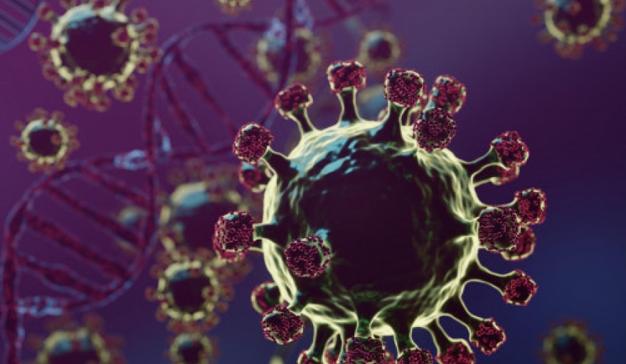 Cómo se propaga el virus respiratorio HMPV y que consideraciones se deben tener en cuenta