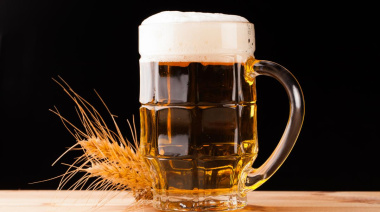 CONICET impulsa un proyecto para producir cervezas con propiedades saludables a partir de residuos cerveceros