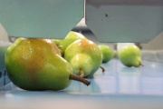 La Federación de Frutas rechaza fuertemente la propuesta de peajes en las rutas provinciales