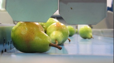 La Federación de Frutas rechaza fuertemente la propuesta de peajes en las rutas provinciales