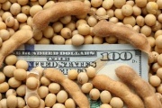 En el primer día se liquidaron casi 300 millones de dólares por el Dólar Soja
