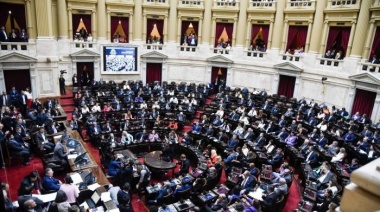 Ley de Bases: ¿Cómo votó cada Diputado nacional de la Patagonia?