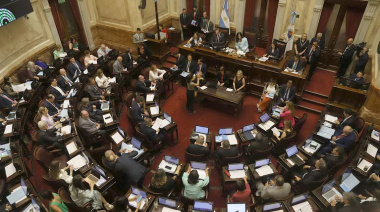 El Senado se le planta a Milei en una jornada clave: avanza una rebelión legislativa y el Gobierno responde con maniobras oscuras