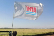 Trabajadores del INTA protestan en Guerrico contra el decreto 426: “No es modernización, es desguace”