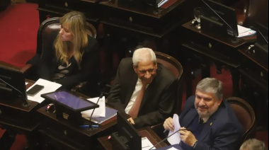 Histórico revés para el Gobierno: el Senado rechazó el veto presidencial a la Ley de Emergencia en Discapacidad