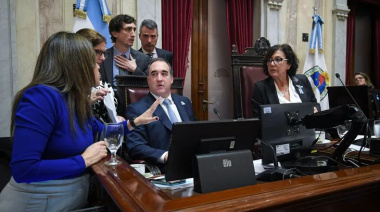 Senadores también aprobaron el reparto de ATN y del impuesto a los combustibles pese a amenazas de veto