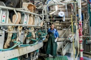 Leche: Cuál fue el momento que la apropiamos como alimento y porque tanto revuelo social por su consumo