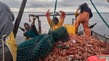 Tensión en el mar rionegrino: el SOMU rechaza al nuevo subsecretario de Pesca y se abre un frente gremial en San Antonio Oeste