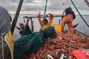 Tensión en el mar rionegrino: el SOMU rechaza al nuevo subsecretario de Pesca y se abre un frente gremial en San Antonio Oeste