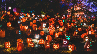 Una celebración creciente: qué es Halloween