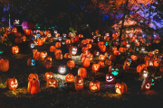 Una celebración creciente: qué es Halloween
