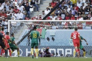 Suiza venció por la mínima a Camerún por el grupo G