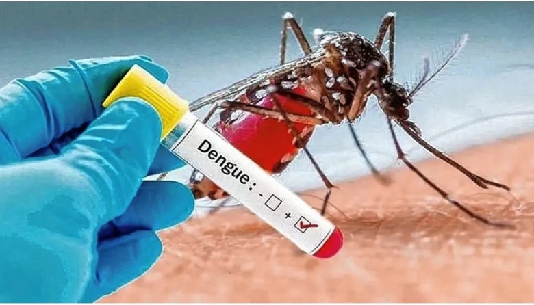 Aumentaron los casos de Dengue en Argentina: Superando los 22.000 casos
