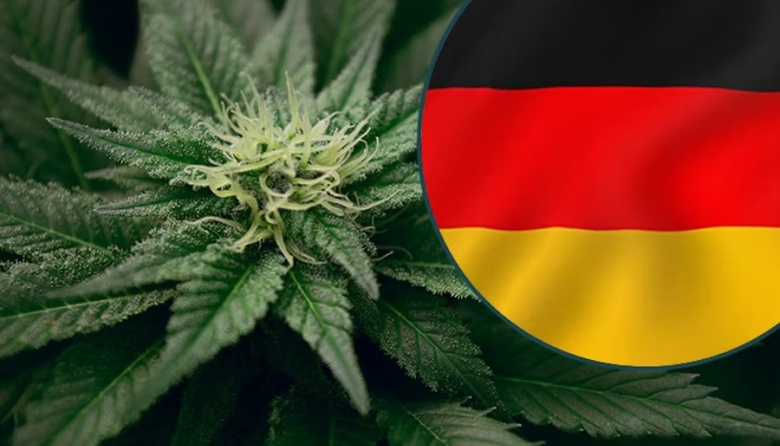 Alemania: Legalizan la posesión y el consumo de marihuana