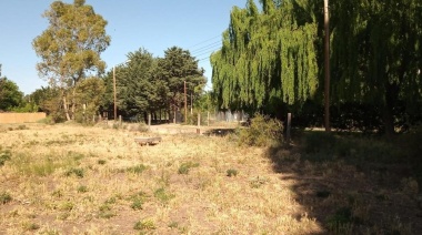Vecinos de un barrio de Plottier denuncian graves problemas del suministro eléctrico